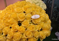 Yelloween, also from Kikwetu Flowers.